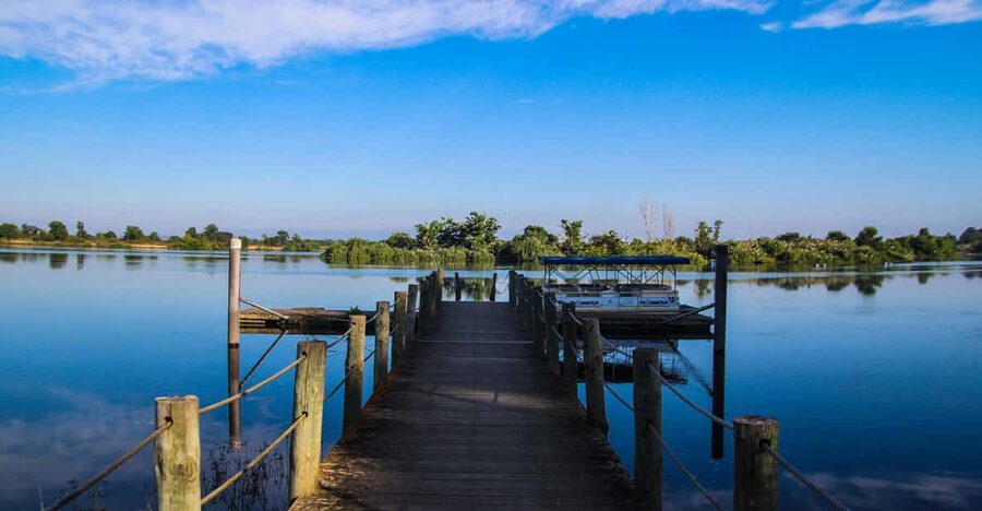 Escaroupim: 1 hour boat trip, guided tour - Wildlife Highlights: Horses, Herons, Ibises, and Osprey Season