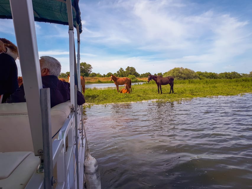 Escaroupim: 1 hour boat trip, guided tour - The Avieiros Story: Fishing Life, Stilt Houses, and Migration Currents