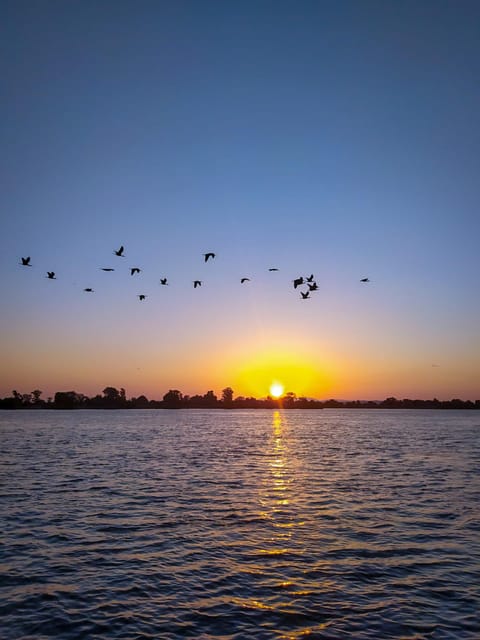 Escaroupim: 1 hour boat trip, guided tour - Mouchões, Islets, and the Moment Fish Jump