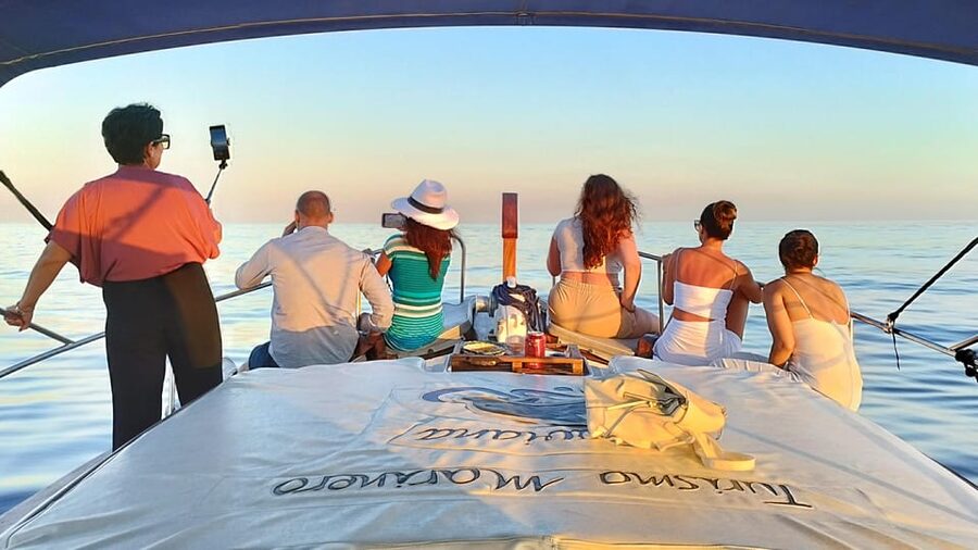 Estepona: Dolphin Search Boat Trip with Drink and Snacks - Small-group size (10 max) and how it changes the mood