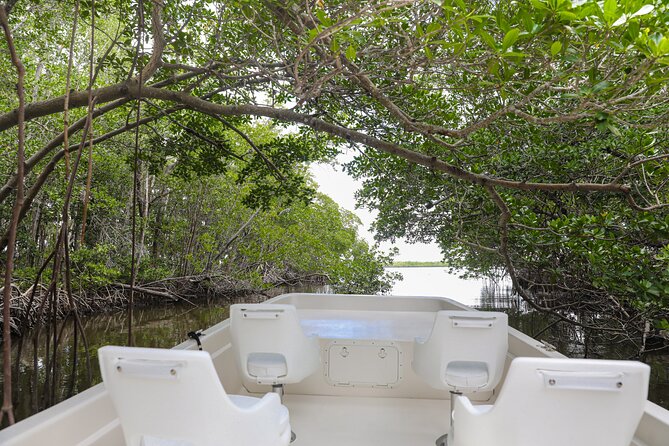 Everglades Mangrove Wilderness Boat Tour - Quick highlights you can count on
