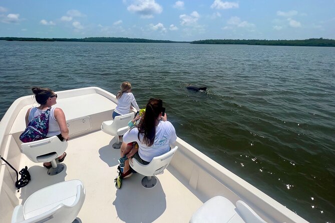 Everglades Mangrove Wilderness Boat Tour - Why this mangrove boat tour feels different from the usual Everglades options