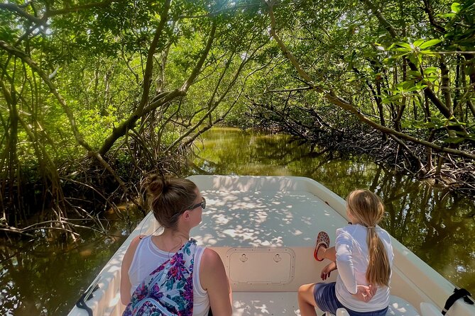 Everglades Mangrove Wilderness Boat Tour - Wildlife spotting: dolphins up close, plus manatees and birds