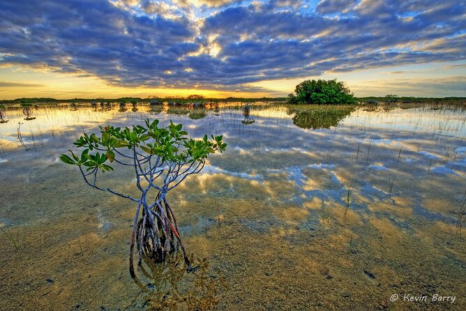 Everglades Mangrove Wilderness Boat Tour - Price and value: is $68.90 worth it?