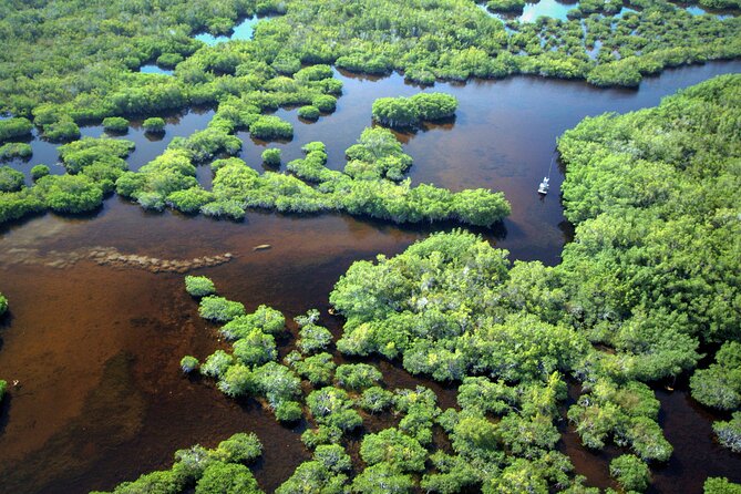 Everglades National Park Boat Tour - Stop 1: Everglades National Park Waters and Your Best Bird-Spotting Strategy