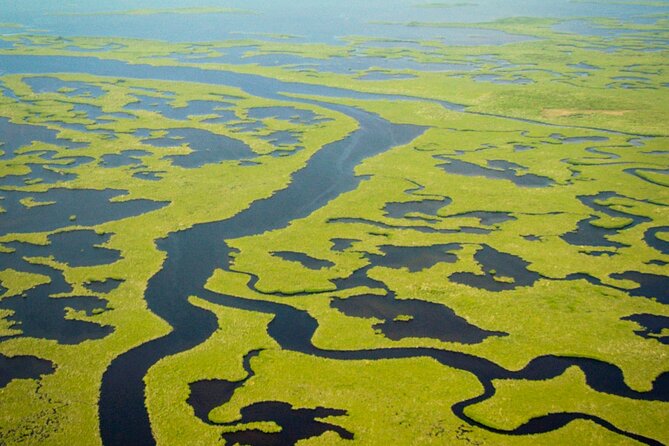 Everglades National Park Boat Tour - Stop 2: Chokoloskee Bay for Animals, Island Formation, and Slow Moments