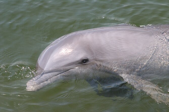 Everglades National Park Boat Tour - Boat Comfort Details That Actually Matter
