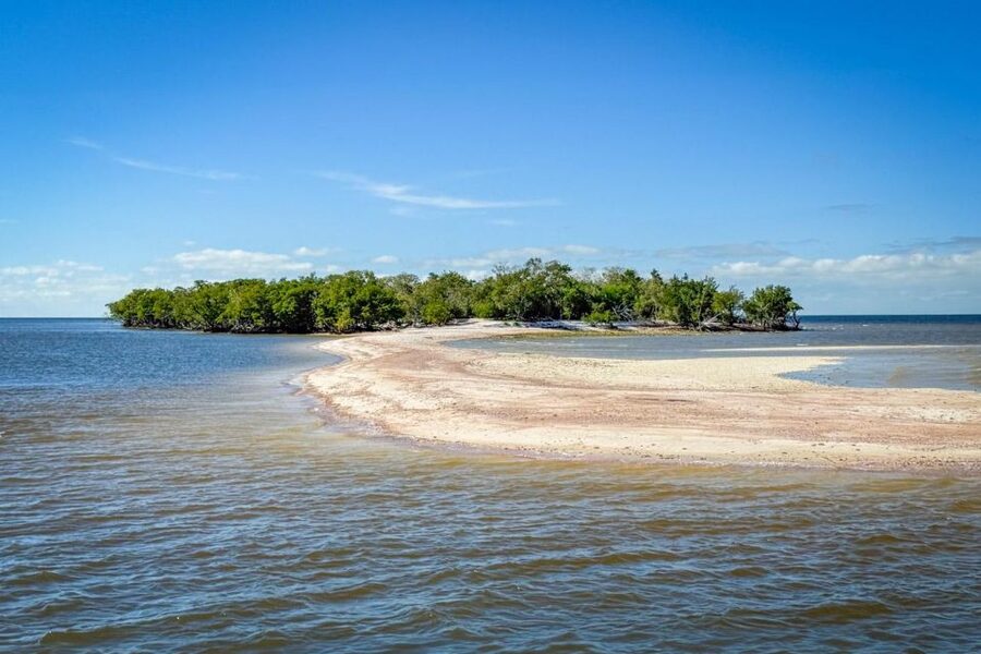 Everglades National Park: Pontoon Boat Tour & Boardwalk - Rules, comfort, and what to pack for Florida weather