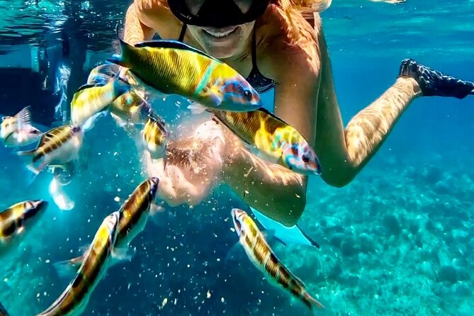 Exclusive boat tour for up to 8 people, beautiful Tropea - Key highlights to know before you go