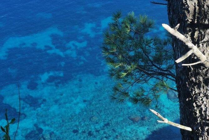 Exclusive Private Boat Tour to capri & Amalfi coast from Sorrento - Drinks, snacks, and lunch on Capri: planning for the real costs