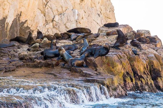 Explore Los Cabos City Tour, Glass-Bottom Boat Ride, Lunch and Shopping! - Glass-Blowing Factory Stop: What You’re Actually Buying Into
