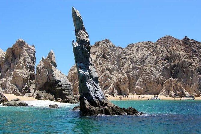 Explore Los Cabos City Tour, Glass-Bottom Boat Ride, Lunch and Shopping! - The Shopping Reality: How to Keep This From Taking Over