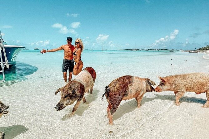 Exuma Full Day Swimming Pigs Group Boat Tour - Key things that make this Exuma day trip worth your attention