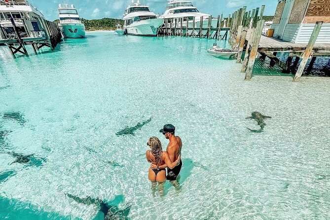 Exuma Full Day Swimming Pigs Group Boat Tour - Pig Beach and Swimming Pigs: The Main Event, Done in Your Own Time
