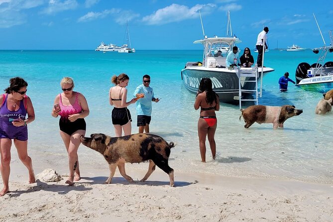 Exuma Full Day Swimming Pigs Group Boat Tour - Black Point Lunch at Loraine’s: Fuel Up Like Someone Who Wants to Enjoy the Afternoon