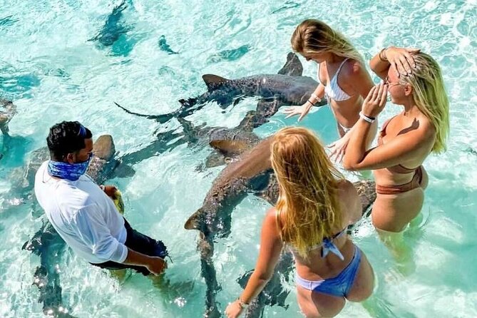 Exuma Full Day Swimming Pigs Group Boat Tour - Allen Cay Rock Iguanas: Short Visit, Big Personality (And a Do-Not-Disturb Vibe)