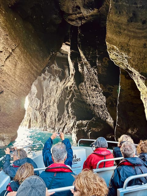 Faial Island: Unique boat tour to the Capelinhos volcano - Wildlife Chances: What You Should Expect (and What You Should Not)