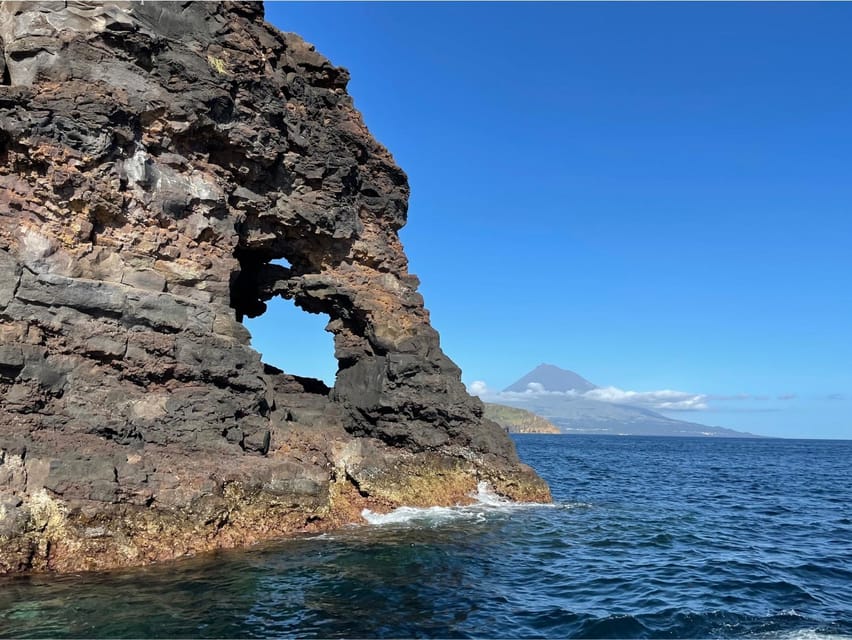 Faial Island: Unique boat tour to the Capelinhos volcano - Price and Value: Is $88 Worth It?