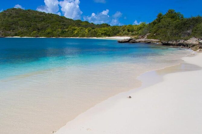 FANTASTIC Green Island and Sea Turtles - Half Day share boat trip - Key Highlights That Matter