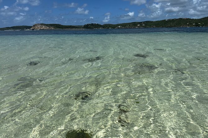 FANTASTIC Green Island and Sea Turtles - Half Day share boat trip - Snorkel Gear, Umbrella, and the Food-and-Drink Setup