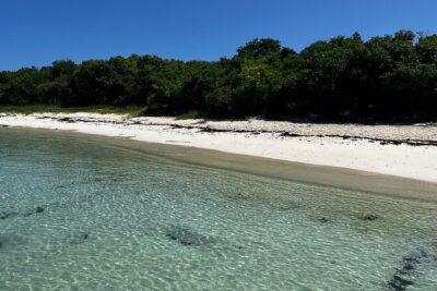 FANTASTIC Green Island and Sea Turtles - Half Day share boat trip - The 8:15 Start: Getting to Willikies and the Small-Boat Timing Trick