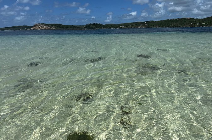 FANTASTIC Green Island and Sea Turtles - Half Day share boat trip - What You Need to Know About the Boat Transfer and Comfort