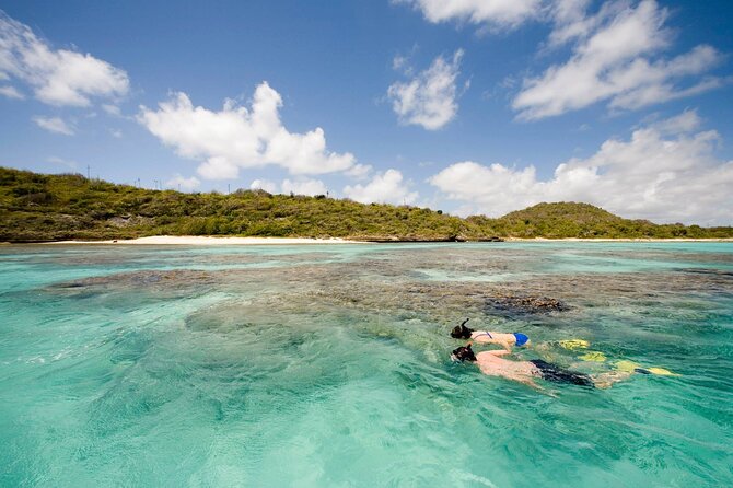 FANTASTIC Green Island and Sea Turtles - Half Day share boat trip - Price in Context: Is $179.90 Worth It?