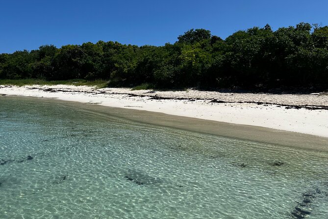 FANTASTIC Green Island and Sea Turtles - Half Day share boat trip - The 8:15 Start: Getting to Willikies and the Small-Boat Timing Trick