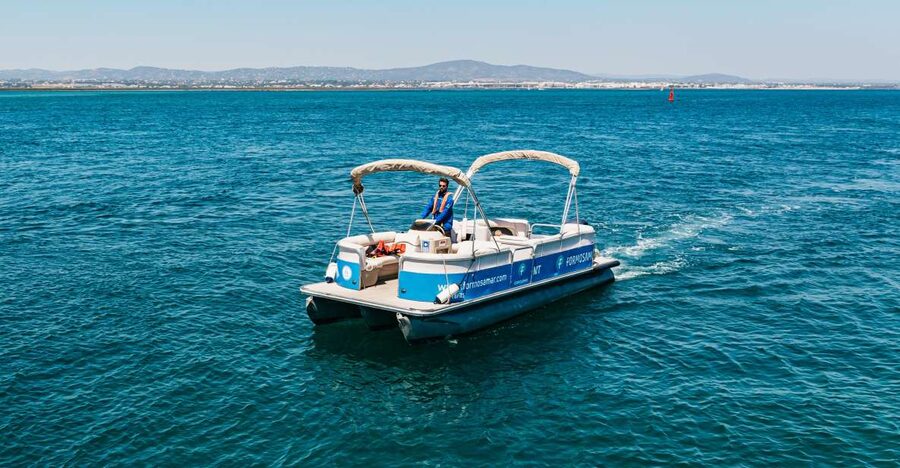 Faro: Deserta Island and Farol Island Catamaran Boat Trip - Practical tips: what to pack, when to go, and how to stay comfortable