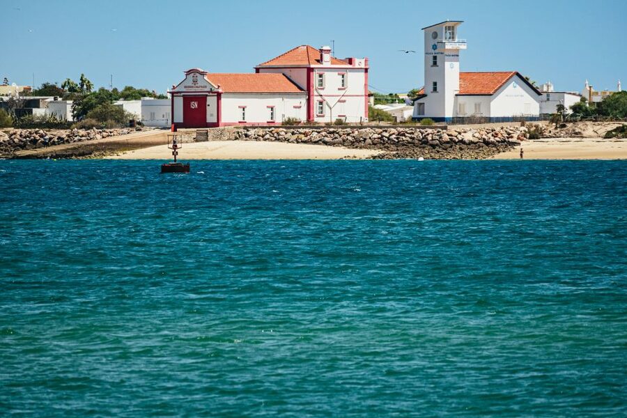 Faro: Deserta Island and Farol Island Catamaran Boat Trip - Ria Formosa wildlife viewing: bird spotting that actually has context