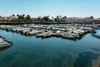 Faro: Deserta Island and Farol Island Catamaran Boat Trip - Starting at Faro Marina: comfortable catamaran time, guided stops, and what to expect