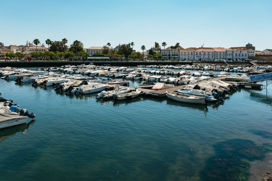 Faro: Deserta Island and Farol Island Catamaran Boat Trip - Starting at Faro Marina: comfortable catamaran time, guided stops, and what to expect