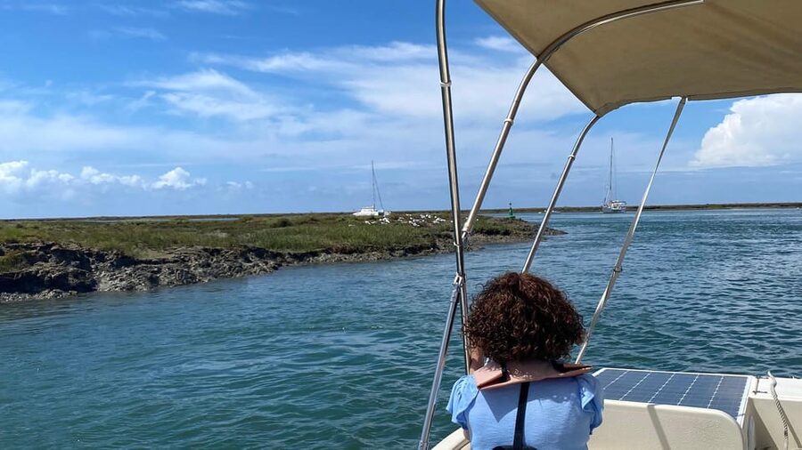 Faro: Ria Formosa Boat Tour by Eco-Friendly Solar Boat - How the Guide Makes It More Than a Pretty Ride