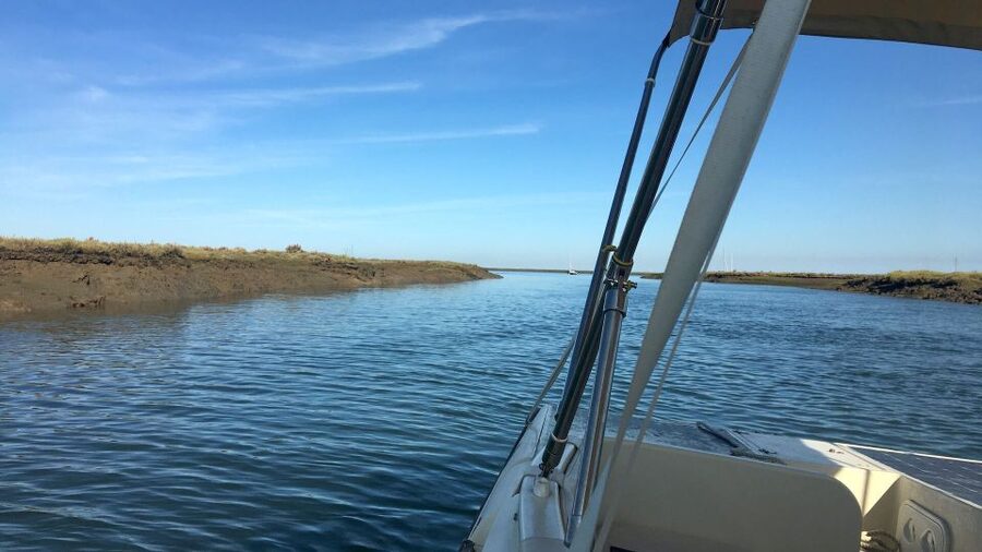 Faro: Ria Formosa Boat Tour by Eco-Friendly Solar Boat - Wildlife Moments You Can Expect in Ria Formosa