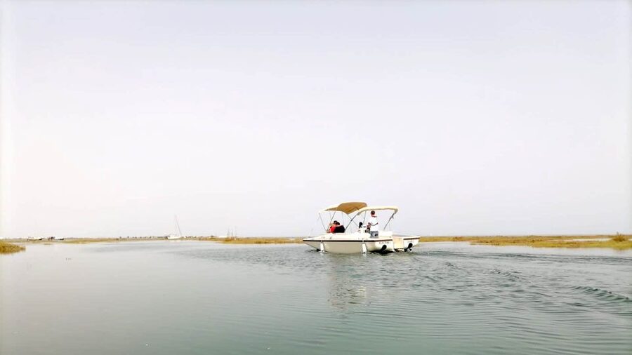 Faro: Ria Formosa Boat Tour by Eco-Friendly Solar Boat - Price and Value: Is $29 Worth It?