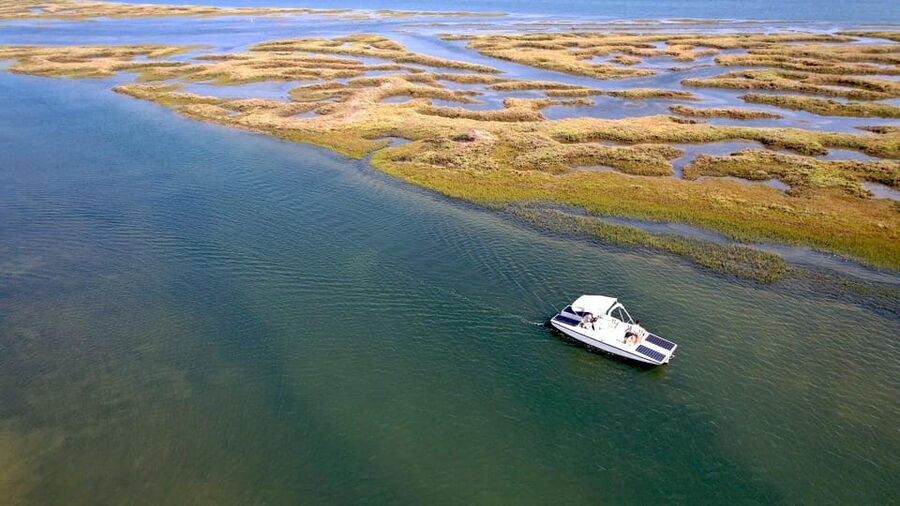 Faro: Ria Formosa Boat Tour by Eco-Friendly Solar Boat - Should You Book This Solar Boat Tour from Faro?