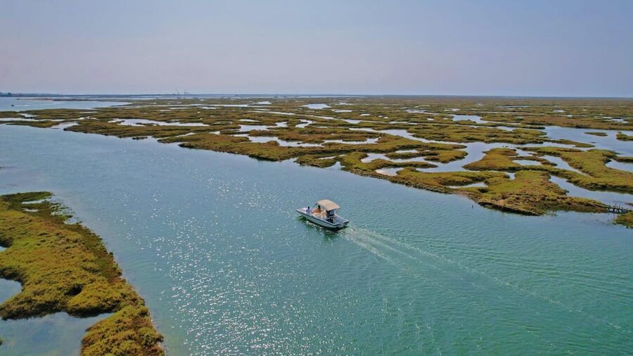 Faro: Ria Formosa Boat Tour by Eco-Friendly Solar Boat - Into the Parque Natural da Ria Formosa: What the 1-Hour Cruise Really Does