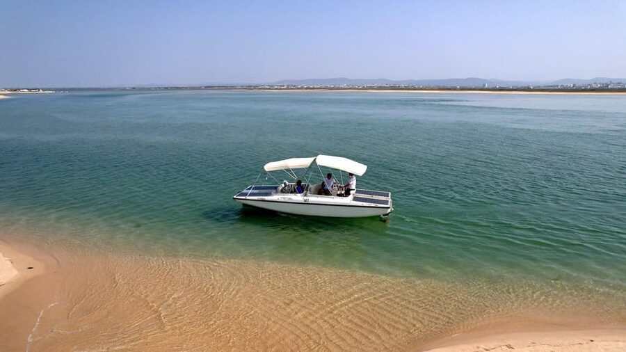 Faro: Ria Formosa Eco Birdwatching Boat Tour - Key highlights to know before you go
