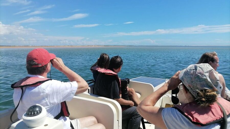 Faro: Ria Formosa Eco Birdwatching Boat Tour - The 2-hour cruise: what happens on the water
