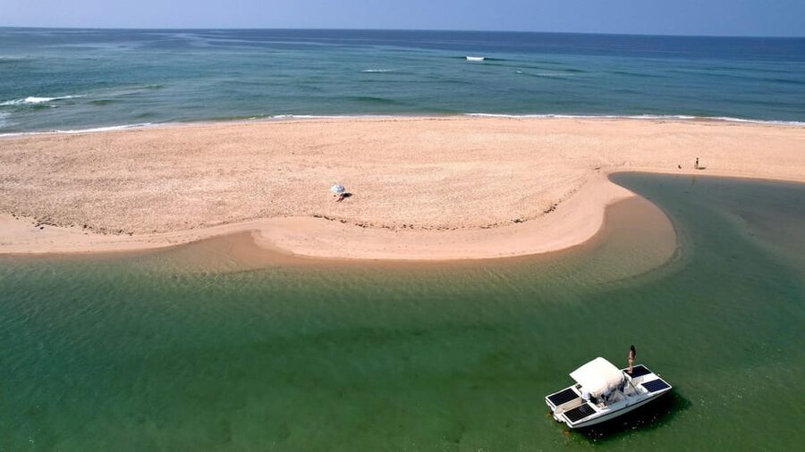 Faro: Ria Formosa Eco Birdwatching Boat Tour - Birds you might see: flamingos, spoonbills, herons, and more