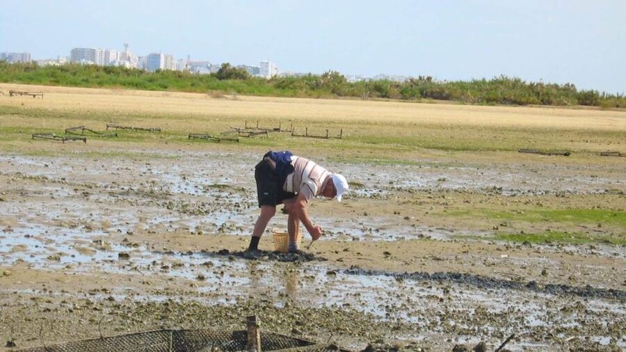 Faro: Ria Formosa Eco Birdwatching Boat Tour - Spring quiet time: the April and May alternative walking option