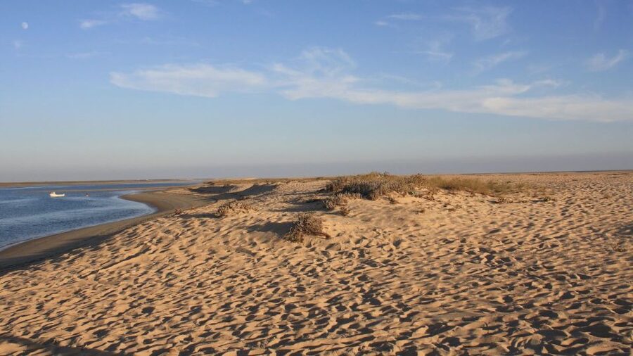 Faro: Ria Formosa Eco Birdwatching Boat Tour - Where you board in Faro: Cais das Portas do Mar