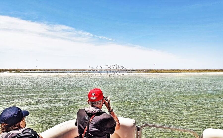Faro: Ria Formosa Faro Islands Boat Tour - Birdlife and Tide Reality: Why Your Photos Might Look Different