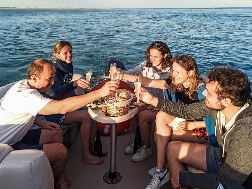Faro: Ria Formosa Faro Islands Boat Tour - Boat Comfort, Weather Notes, and What You’ll Actually Feel