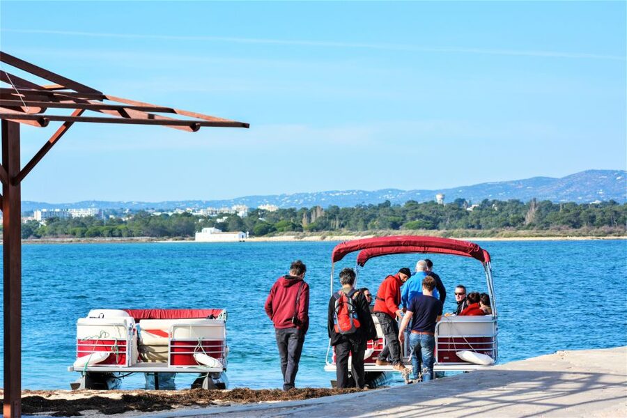 Faro: Ria Formosa Faro Islands Boat Tour - Getting Oriented at Islands 4 You (and Finding the Right People)