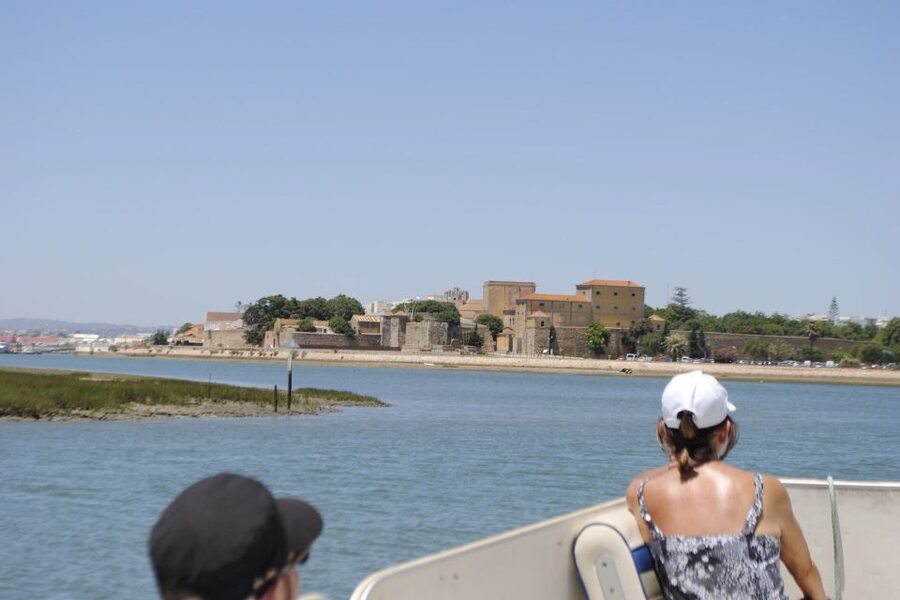 Faro: Ria Formosa Lagoon Small Boat Tour with Local Guide - Getting Oriented: Why This One-Hour Ria Formosa Tour Works