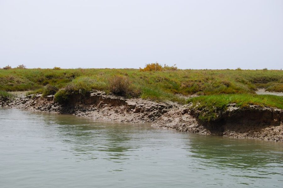Faro: Ria Formosa Lagoon Small Boat Tour with Local Guide - Parque Natural da Ria Formosa: Marshes, Channels, and Wildlife Viewing