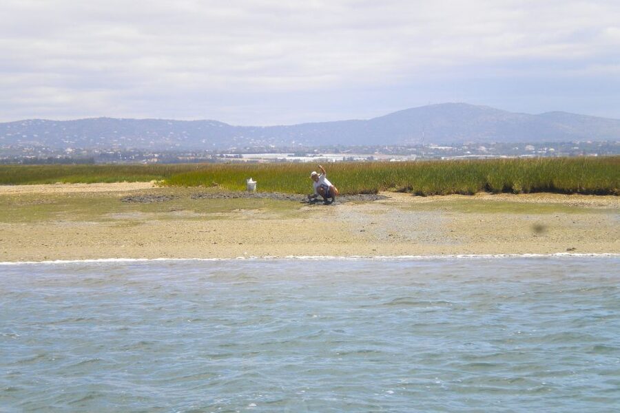 Faro: Ria Formosa Lagoon Small Boat Tour with Local Guide - How the One-Hour Timing Shapes the Experience