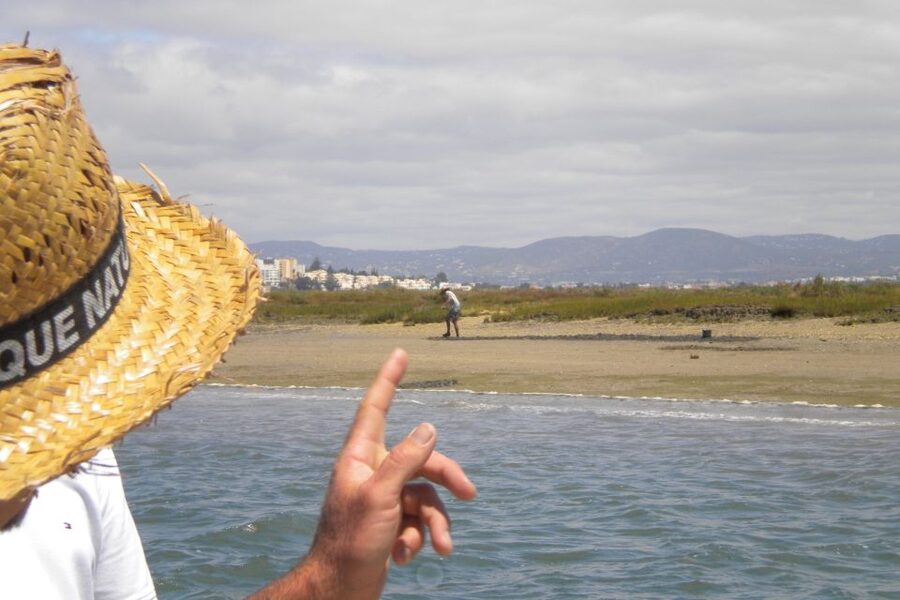 Faro: Ria Formosa Lagoon Small Boat Tour with Local Guide - Meeting Point and What to Do Before You Board