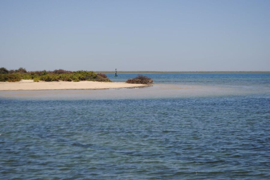 Faro: Ria Formosa Lagoon Small Boat Tour with Local Guide - What to Bring (and What You Can Skip)